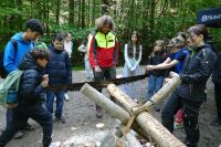 Waldjugendspiele 2025- 4